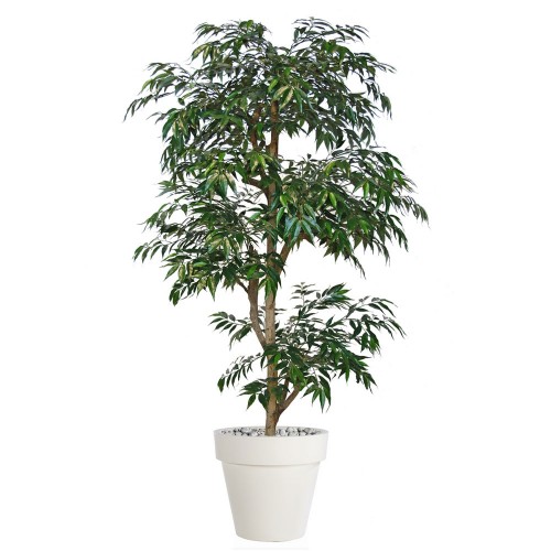 Planta semi-artificiala Ila, Myrsifolia Multistep Green - 180 cm